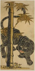 Bambu och tiger