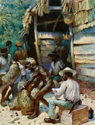 En handlare på Söderhavsön och hans säckar med elfenbensnötter, 1908