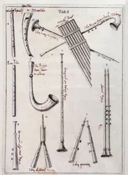 Blåsinstrument Sida från "The Three Types of Musical Instruments" verk om gamla instrument av Francesco Bianchini