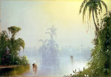 Tropical Haze, 1879
