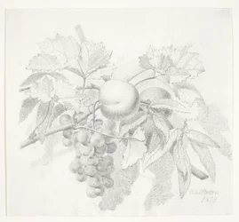 Vindruvor och persikor