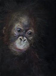 Baby orangutang 3, 2015 (akryl på trä)