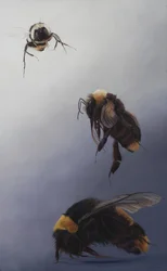 Bombus flight 2, 2011 (akryl på trä)