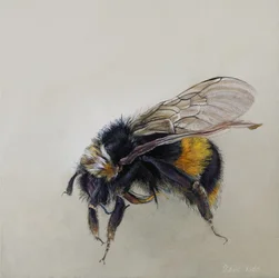 Bombus terrestris 1 (a), 2008 (akryl på trä)