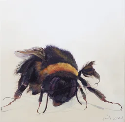 Bombus terrestris 9, 2013 (akryl på trä)