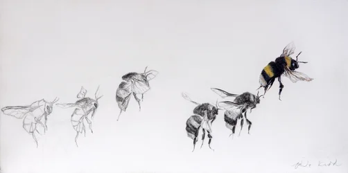 Flygmönster, 2014 (blyerts, akryl på gessoat trä)