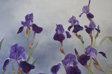 Iris hybrida (detalj), 2015 (akryl på gessoat trä)