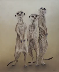 Meerkats, 2014 (akryl på gessoat trä)