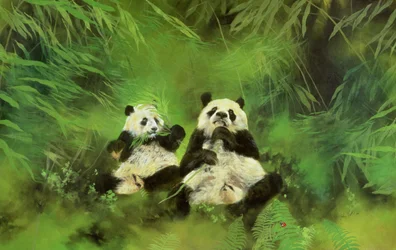 Pandor