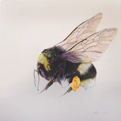 Pollen sac 2, 2011 (akryl på trä)