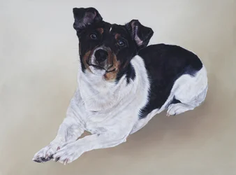 Spike, 2012 (akryl på trä)