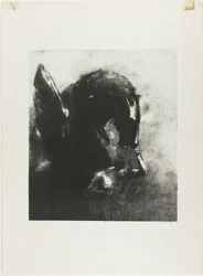 Pegasus i fångenskap