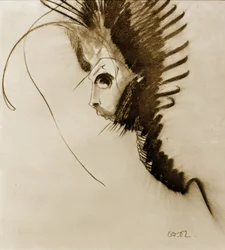 Draken