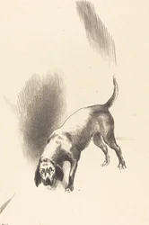 Hunden