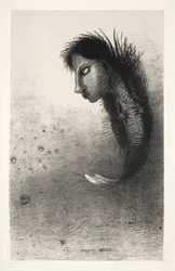The Temptation of Saint Anthony First Series: Then There Appears a Singular Being..., 1888.