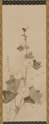 Stokrosor, Edo-period, sent 1600-tidigt 1700-tal.