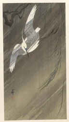 Egret i en storm
