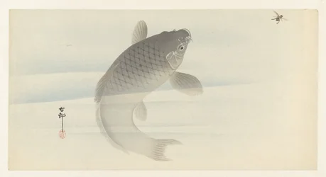 karp och fluga