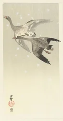 Vitgåss flyger i snön