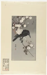 Kråka och körsbärsblom Hana sakura no tori (titel på objekt)