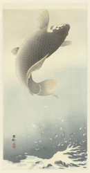Hoppande karp