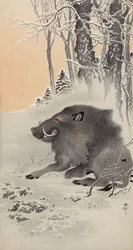 Liggande vildsvin i ett snötäckt landskap