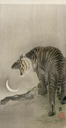 Rytande tiger och halvmåne