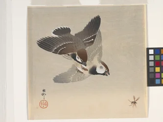 Sparrows Chasing Flying Insect (trätryck i färg)