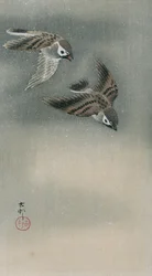 Sparvar under flygning (trätryck i färg)