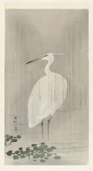 Egret i regn