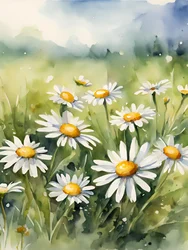 Ett fält fullt av blommande prästkragar