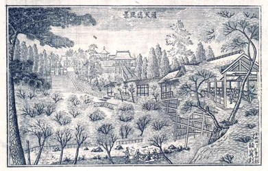 Boken med åsikter om Edo, s.6