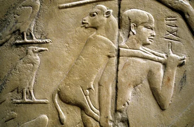 Detalj av en relief föreställande en man som bär ett offerdjur