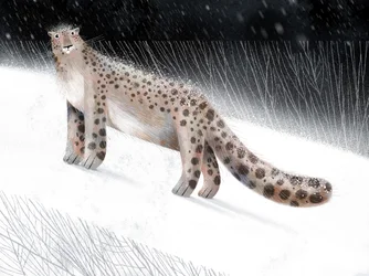 Snöleopardens vinternatt