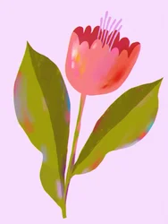 Ljusrosa blomma