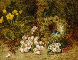 Apple Blossoms, ett primula och fågelbo på en mossig bank,