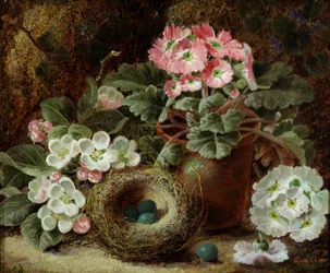 Blommor (primula) och fågelbo. Målning av Oliver Clare (ca 1853-1927) Privat samling.