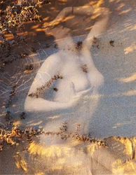 Nudo su sabbia, 2019 (digital blandteknik)