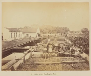 Indigo factory (lastar karen)