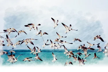 Måsar över det turkosa havet
