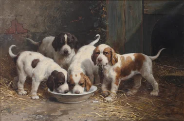 Saint Bernard valpar dricker mjölk (olja på duk)