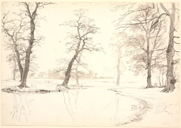 Bäcken genom Breelde-skogen nära Usserød.