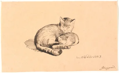 Liggande katt med sin kattunge.