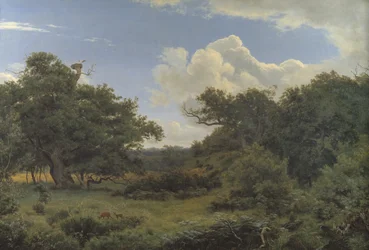 Ekar i Nordskoven nära Jægerspris, Zeeland