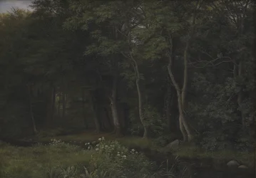 Skymningsmiljö i en skog nära Iselingen Manor, Zeeland