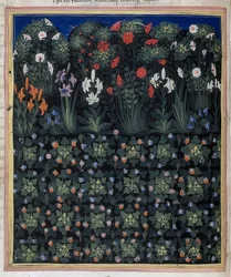 Trädgård (från: Regia Carmina av Convenevole da Prato). Omkring 1335