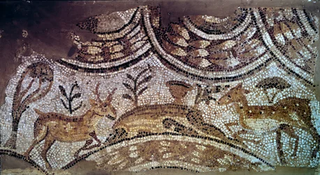 Paleokristen konst: fragment av kyrkmosaik: rådjur och rådjur dricker vatten. 600-talet e.Kr. Från Kartago, Bir Ftouh, Tunisien. Paris, Louvren