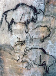 Skadad bison, Magdalenian (grottmålning)
