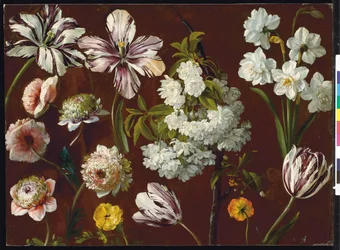 Lila tulpaner, vitblommande prunus, narcissus och rosa krysantemum (olja på papper)