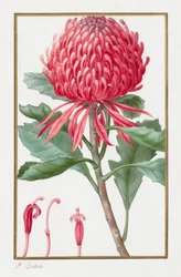 Utan titel, 1828-1835.